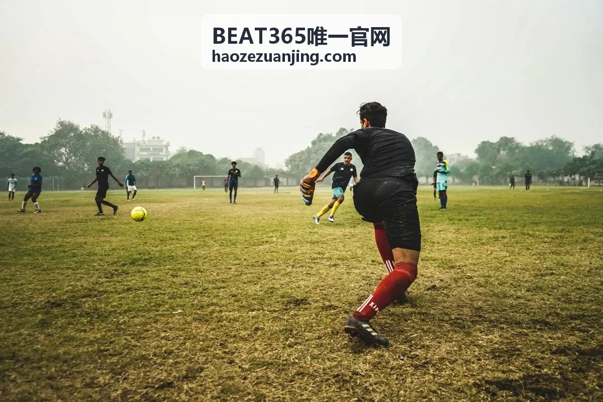 BEAT365唯一官网 数据看板落地案例封面